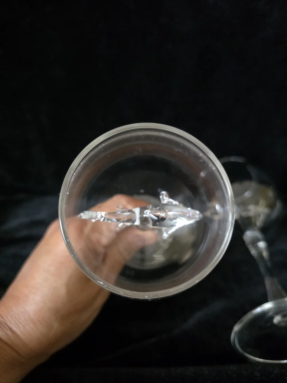 Etched Crystal Shark Clear Wine Glasses - Set of 2